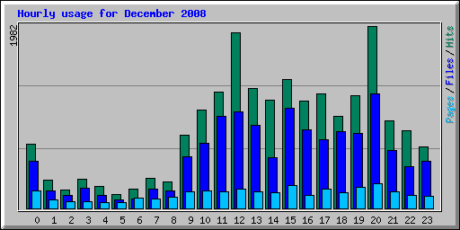 Hourly usage for December 2008