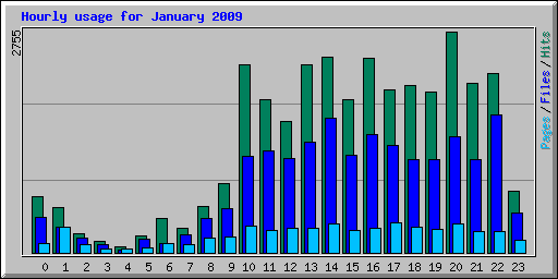 Hourly usage for January 2009